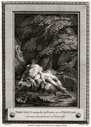 Narciso vede il suo riflesso in una fontana e si innamora di sé stesso