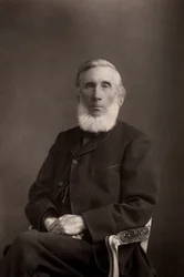 John Tyndall (1820-1893) fisico britannico nato in Irlanda
