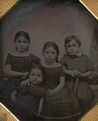 I figli del Professor Schneider