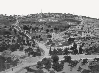 Monte degli Ulivi, Gerusalemme, Palestina