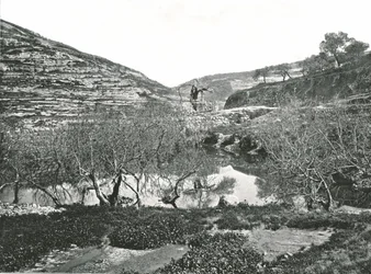 La Piscina di Siloam, Gerusalemme, Palestina, 1895