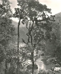 Veduta del fiume Kelani, Kurunegala, Ceylon