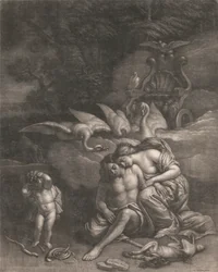 Adone muore tra le braccia di Venere