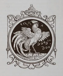 Un gallo che canta.