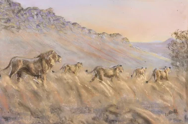 Leoni africani (pastello)