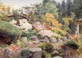Un Giardino Roccioso a Nikko, Cosmos e Acero