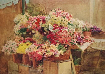 Bancarella di fiori nel mercato di Mentone, c1910