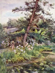 Ortensie nel giardino del tè a Nichi Otani, Kyoto