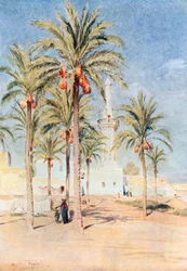La moschea di Aboukir (litografia a colori)