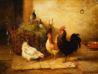 Pollame e piccioni in un interno