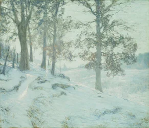 Foglie di Quercia Persistenti