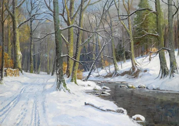 Paesaggio fluviale in inverno