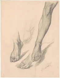 Studi di piedi