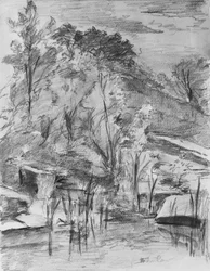 Alberi e ruscello