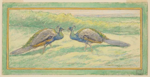 Due pavoni in un paesaggio