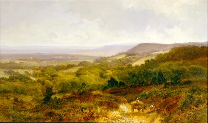 La Weald del Surrey