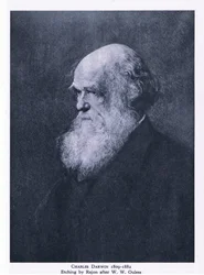 Incisione di Charles Darwin, Nature in Britain pubblicato da Collins