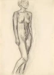 studio del nudo