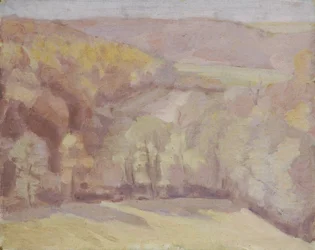 Paesaggio collinare