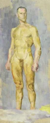 Nudo maschile