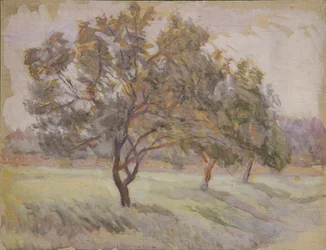 Alberi da frutto