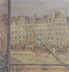 Parigi - Vista dal Quai d