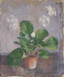 Natura morta con vaso di fiori