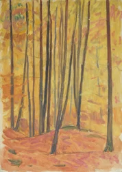 Interno del bosco