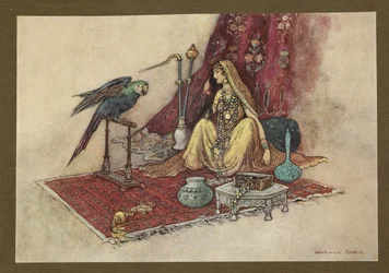 Tavola 21: "Quale principessa mette mai solo un rubino nei capelli?" da Folk-Tales of Bengal ... Con 32 illustrazioni a colori di Warwick Goble (Edizione de luxe.)