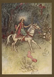 Tavola 24: "Una luce brillante, come quella della Luna, si vedeva brillare sulla sua fronte", da Folk-Tales of Bengal ... Con 32 illustrazioni a colori di Warwick Goble (Edizione de luxe)