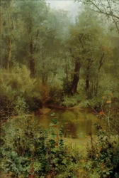 Stagno nella foresta