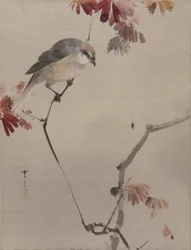 Uccello su un ramo che osserva un ragno, ca. 1887