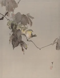 Uccelli su un ramo, ca. 1887