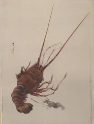 Gambero, ca. 1887