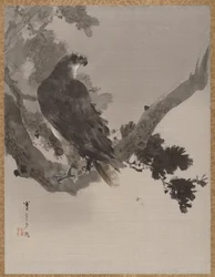 Aquila su un albero, ca. 1887