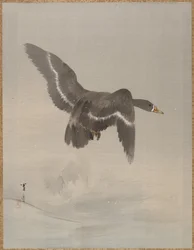 Oca volante, ca. 1887