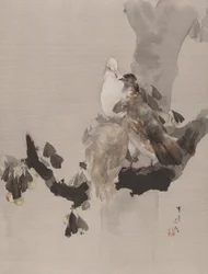 Piccioni su un Albero