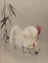 Gallo e Gallina con Pulcini