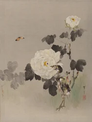 Rose, Uccellino e una Farfalla