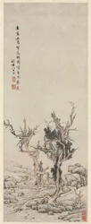 Vecchi alberi vicino a un ruscello invernale, 1551
