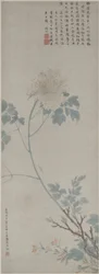 Peonia, rotolo appeso, 1532