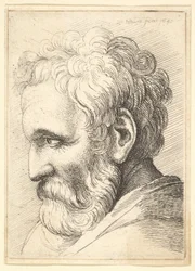Vecchio barbuto
