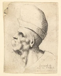 Busto di un uomo deforme con un cappello bulboso di profilo a sinistra