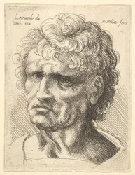Testa di un uomo con espressione seria, 1625-77