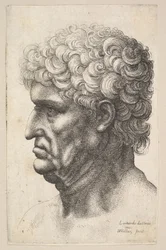 Testa di un uomo con capelli ricci folti di profilo a sinistra, 1640-49