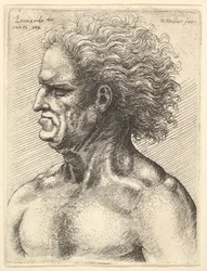 Testa di un vecchio muscoloso di profilo a sinistra con capelli fluenti