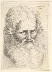 Testa di un vecchio con grande barba