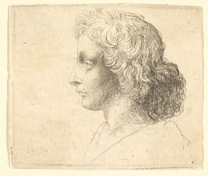 Testa di giovane uomo con capelli lunghi di profilo a sinistra, 1644-52