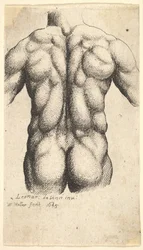 Torso maschile nudo visto da dietro, 1645