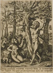 Il Giardino dell